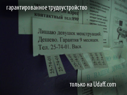 Картинка дня